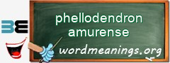 WordMeaning blackboard for phellodendron amurense